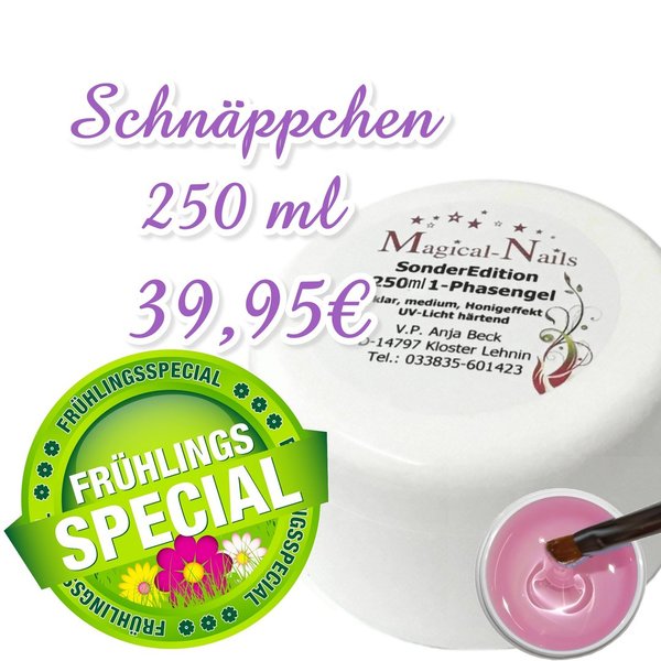 Frühlings Spezial Schnäppchen 39,95€ 250 ml 1-Phasengel Pink/klar medium